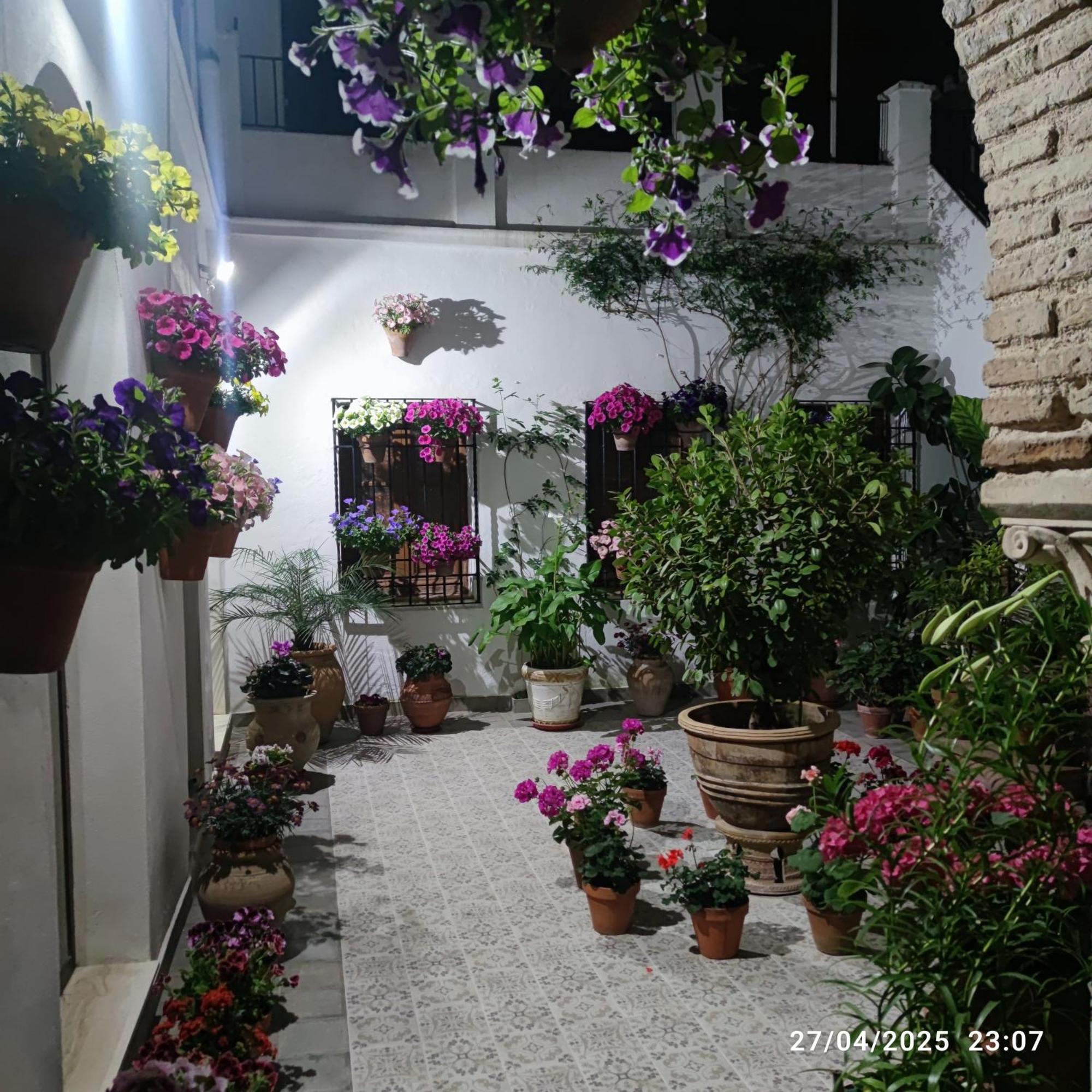 코르도바 El Patio De Regina 아파트 외부 사진
