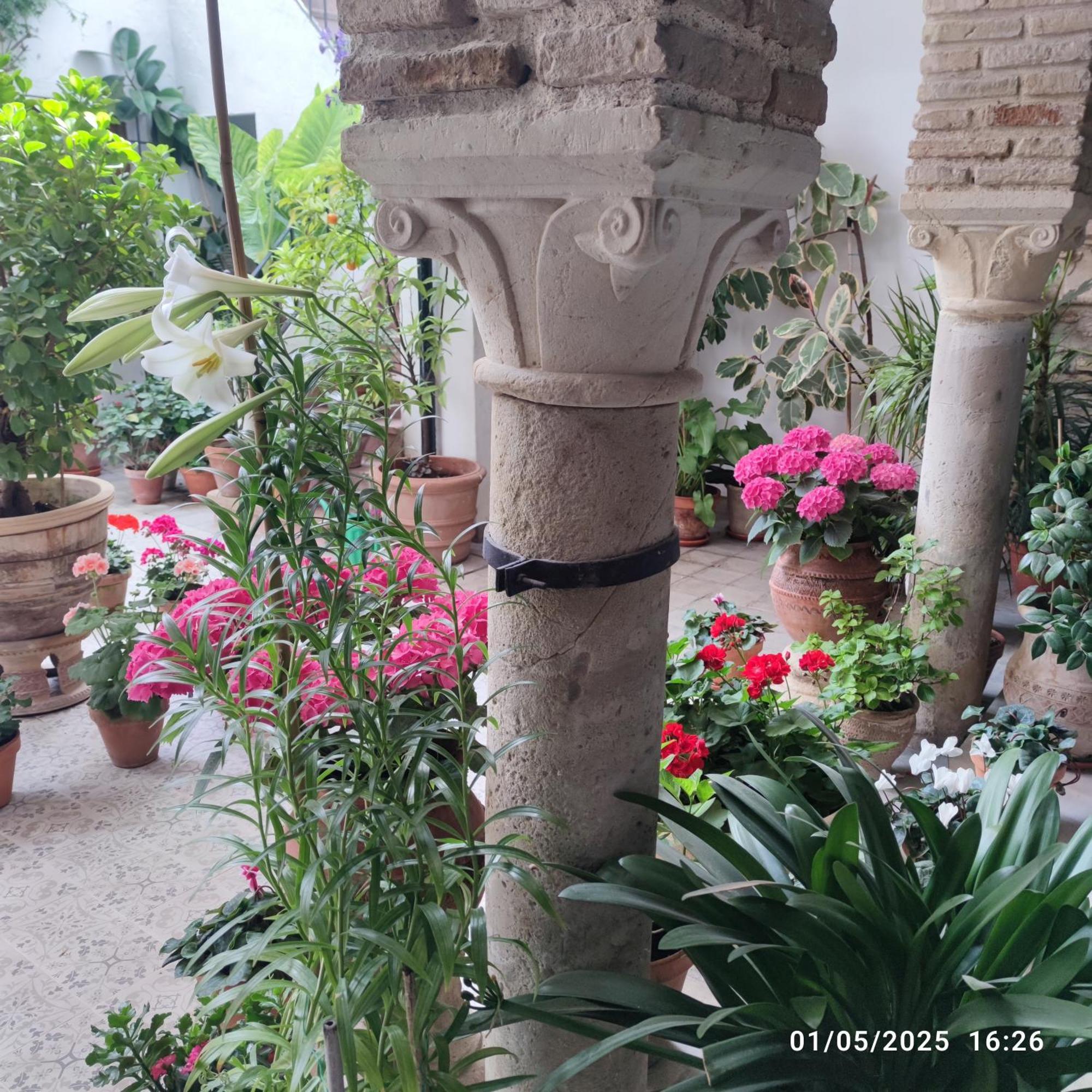 코르도바 El Patio De Regina 아파트 외부 사진